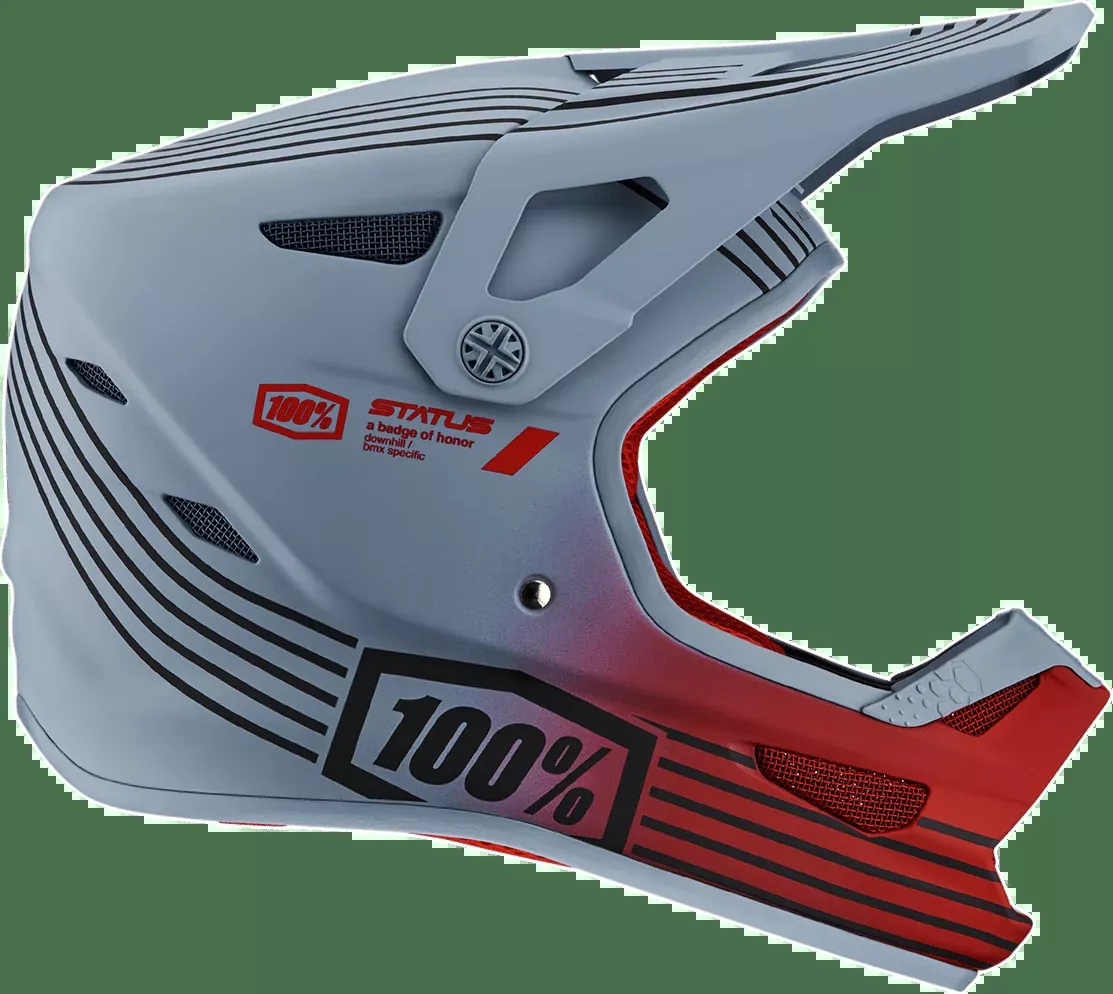 100% Status Helmet - Caltec/Gray - Small 80010-00008
