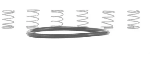 Industry Nine TORCH MTN Pawl Spring Kit