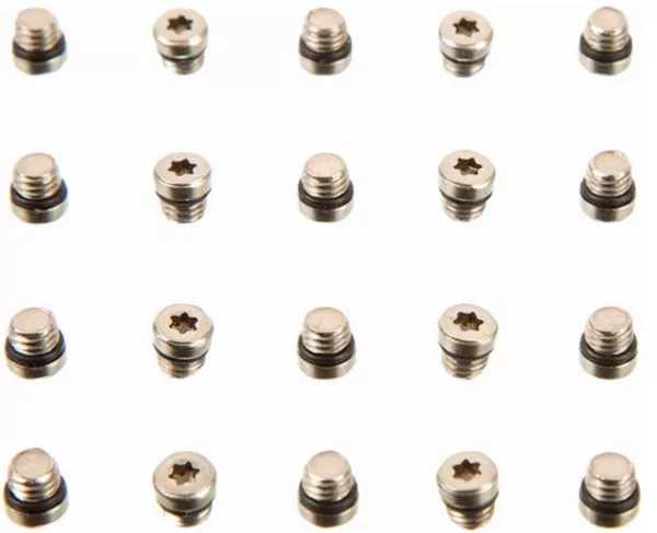 SRAM Lever Bleed Screw