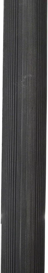 Vittoria Corsa G+ 700x23 Tire Anth/Blk/Blk